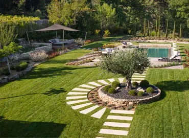 Jardin aménagé avec pelouse et massifs